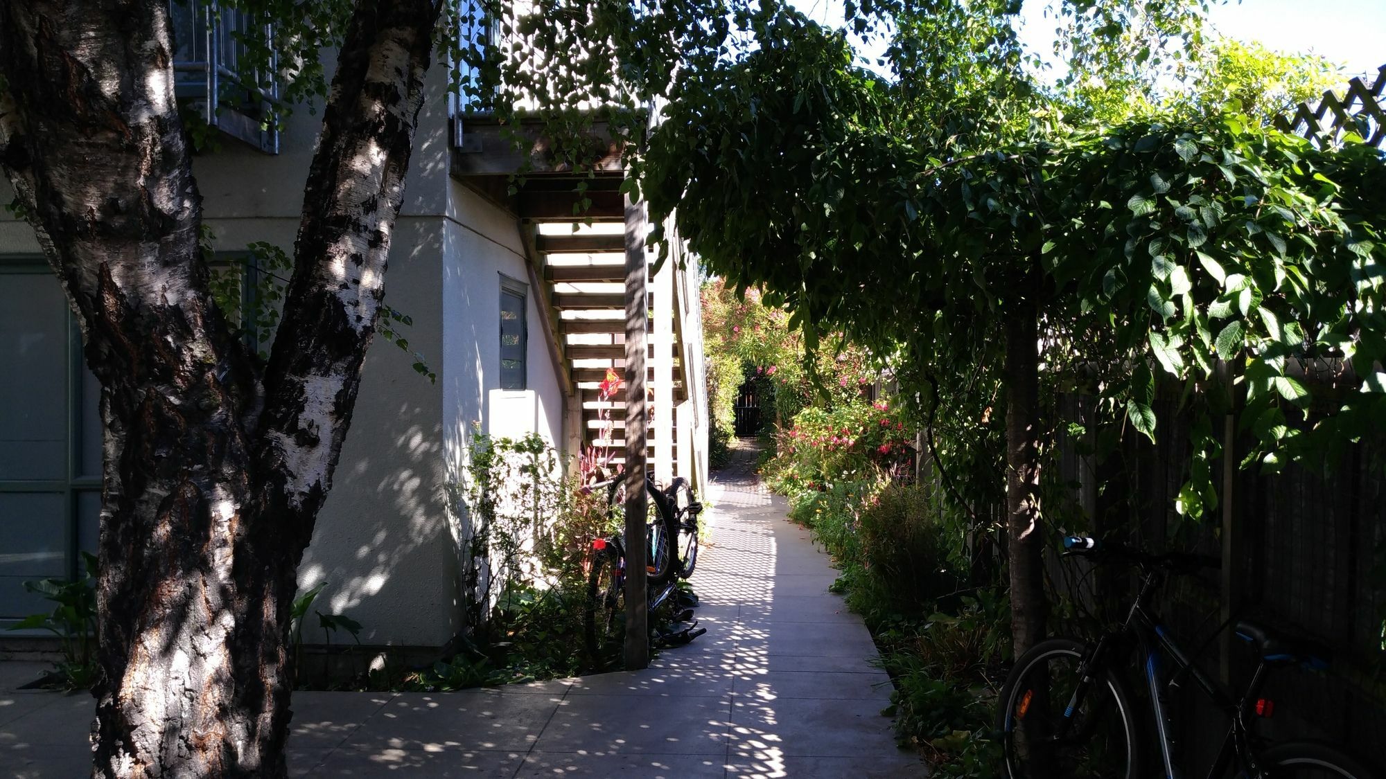 Kiwi House Hostel Christchurch Exteriér fotografie
